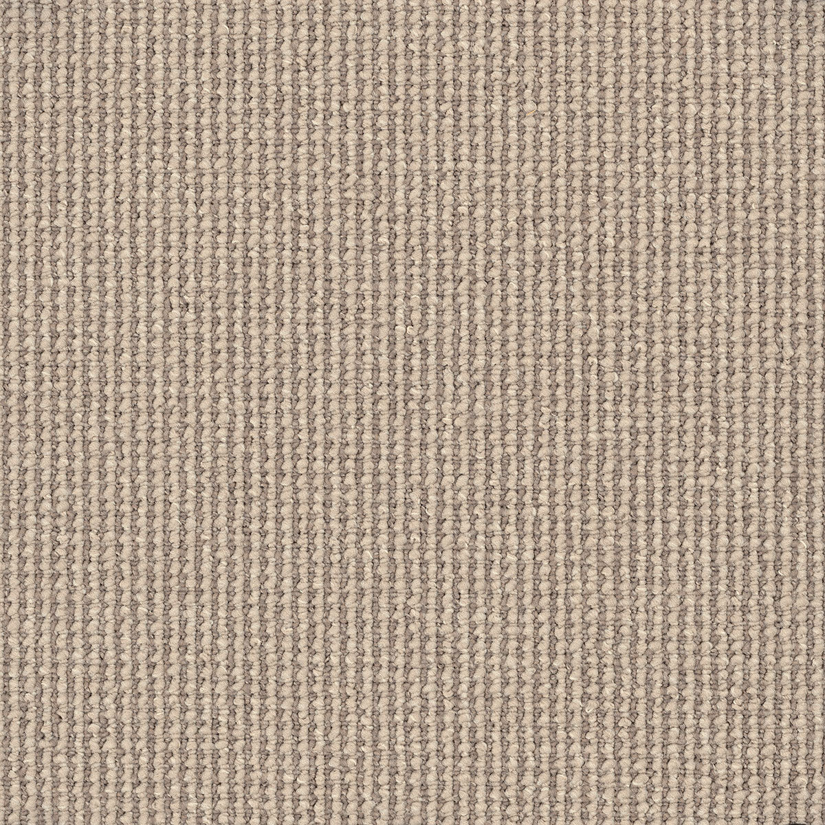 Acacia Hill Carpet Flooring