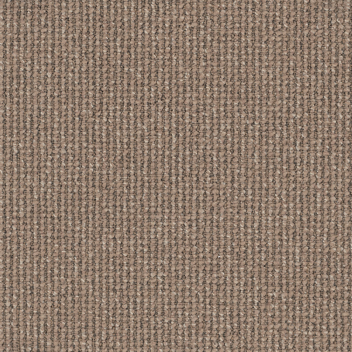 Acacia Hill Carpet Flooring