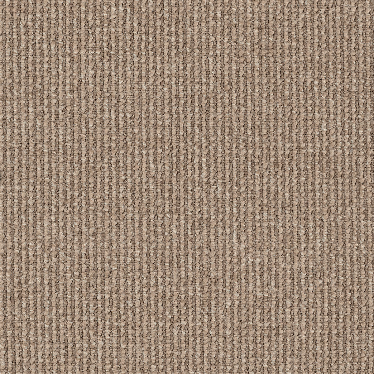 Acacia Hill Carpet Flooring