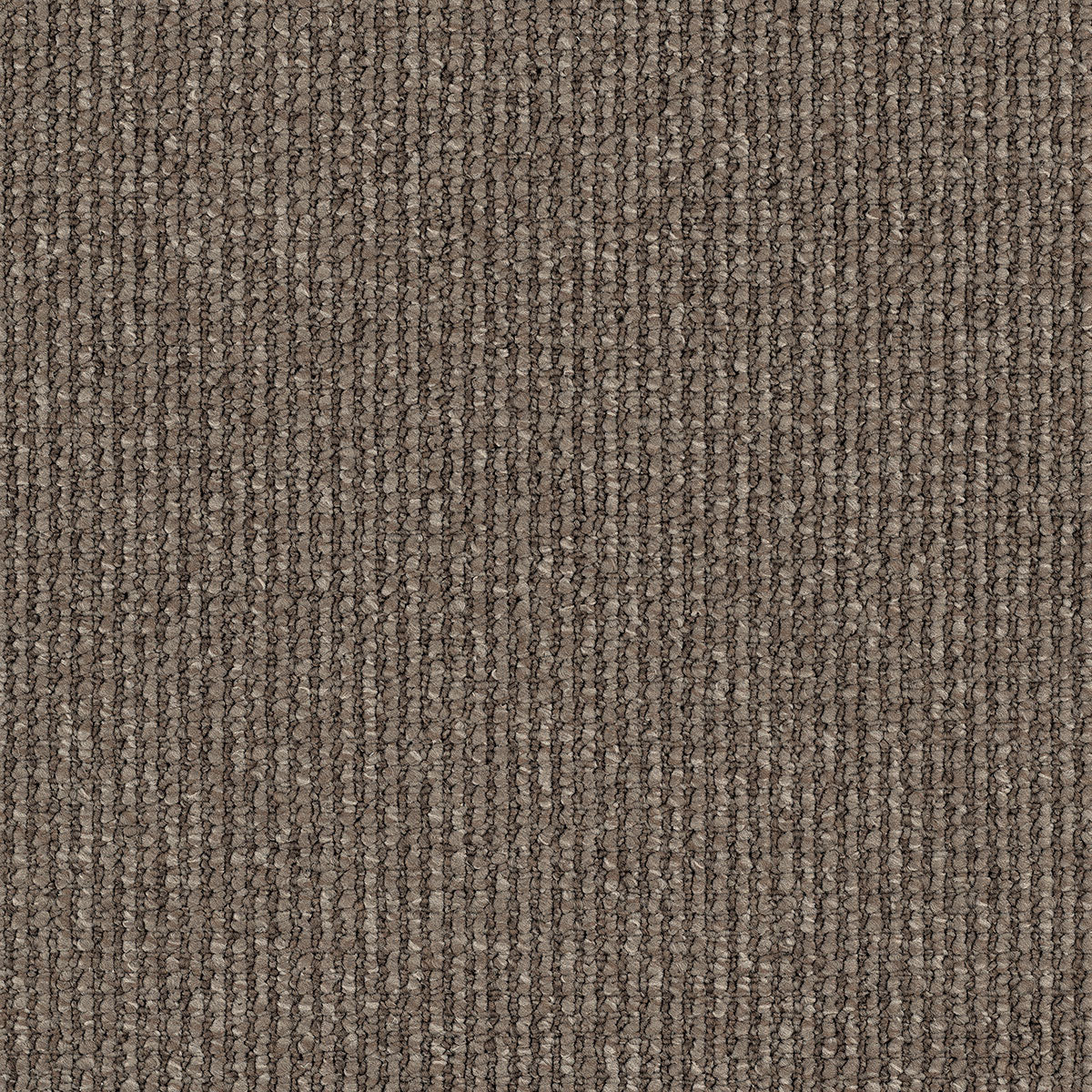 Acacia Hill Carpet Flooring