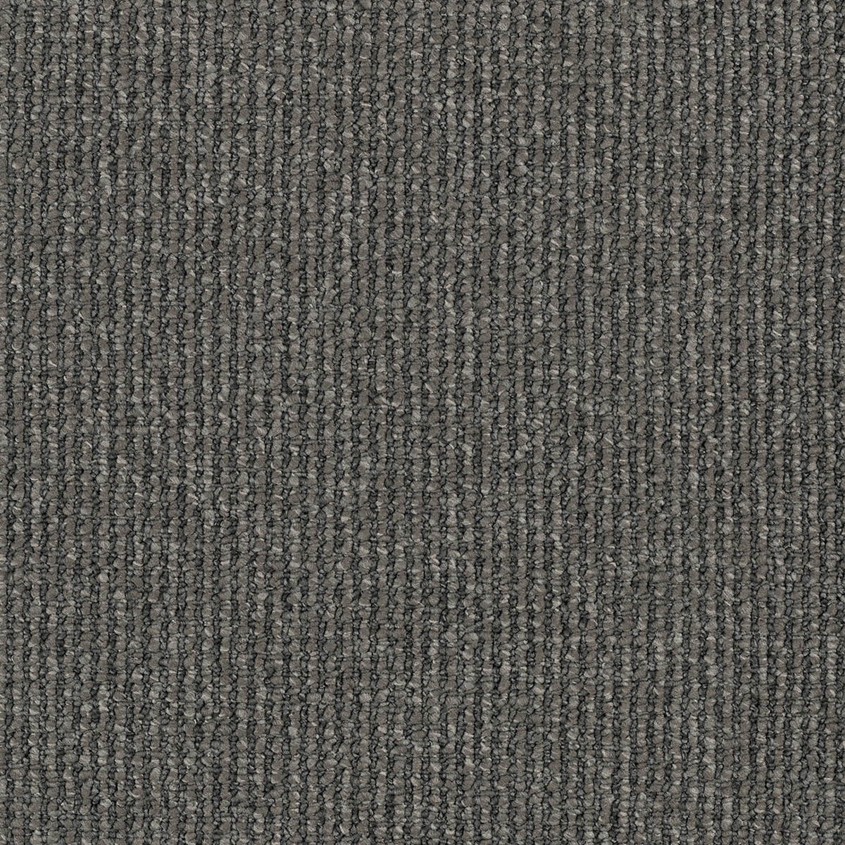 Acacia Hill Carpet Flooring