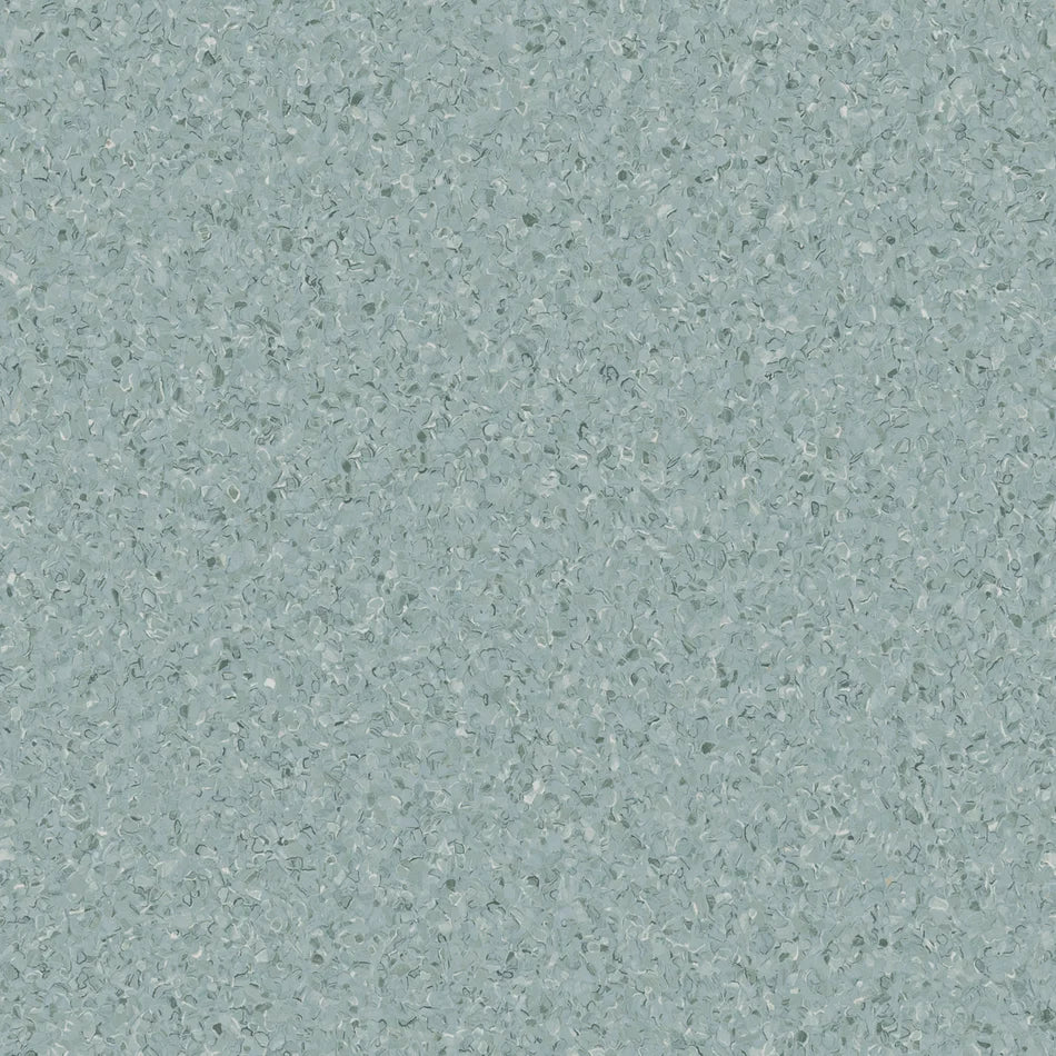 Accolade Foothold – Vinyl Sheet Flooring-R11