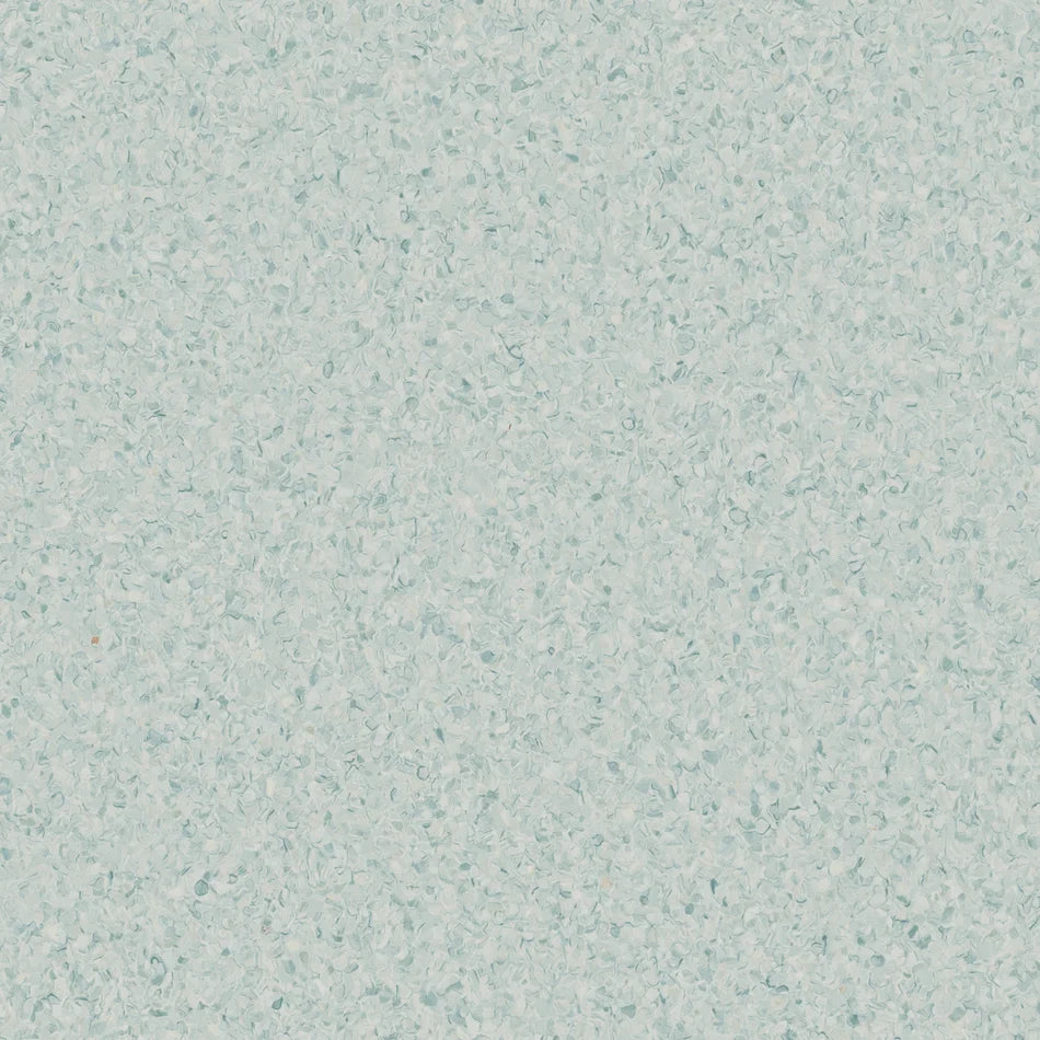 Accolade Foothold – Vinyl Sheet Flooring-R11