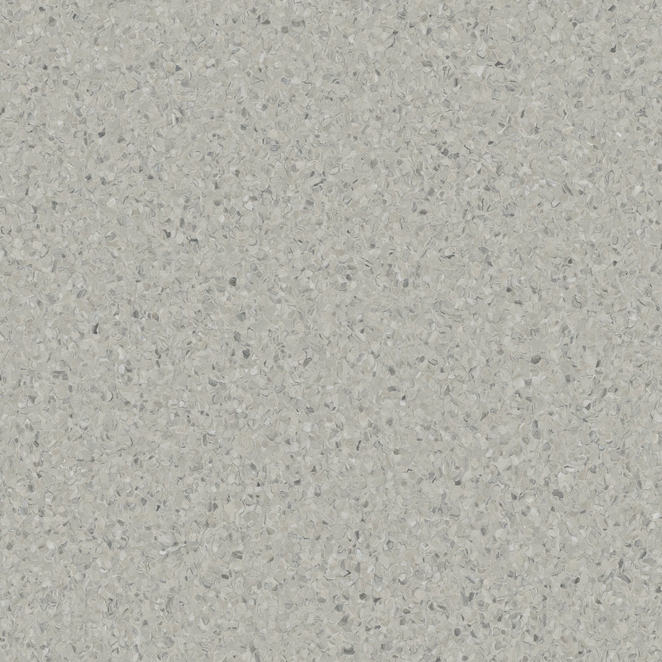 Accolade Foothold – Vinyl Sheet Flooring-R11