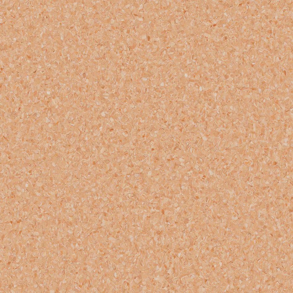 Accolade Foothold – Vinyl Sheet Flooring-R11