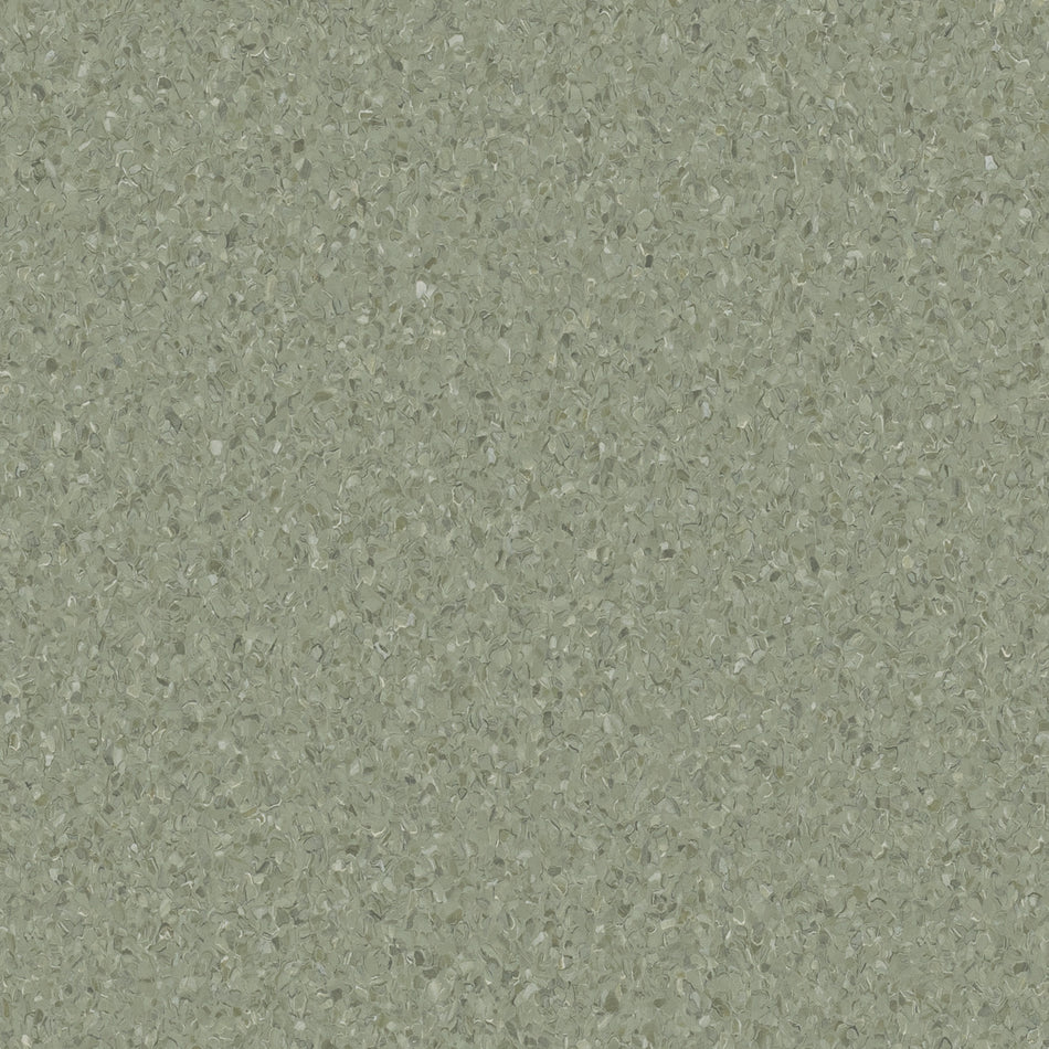 Accolade Foothold – Vinyl Sheet Flooring-R11