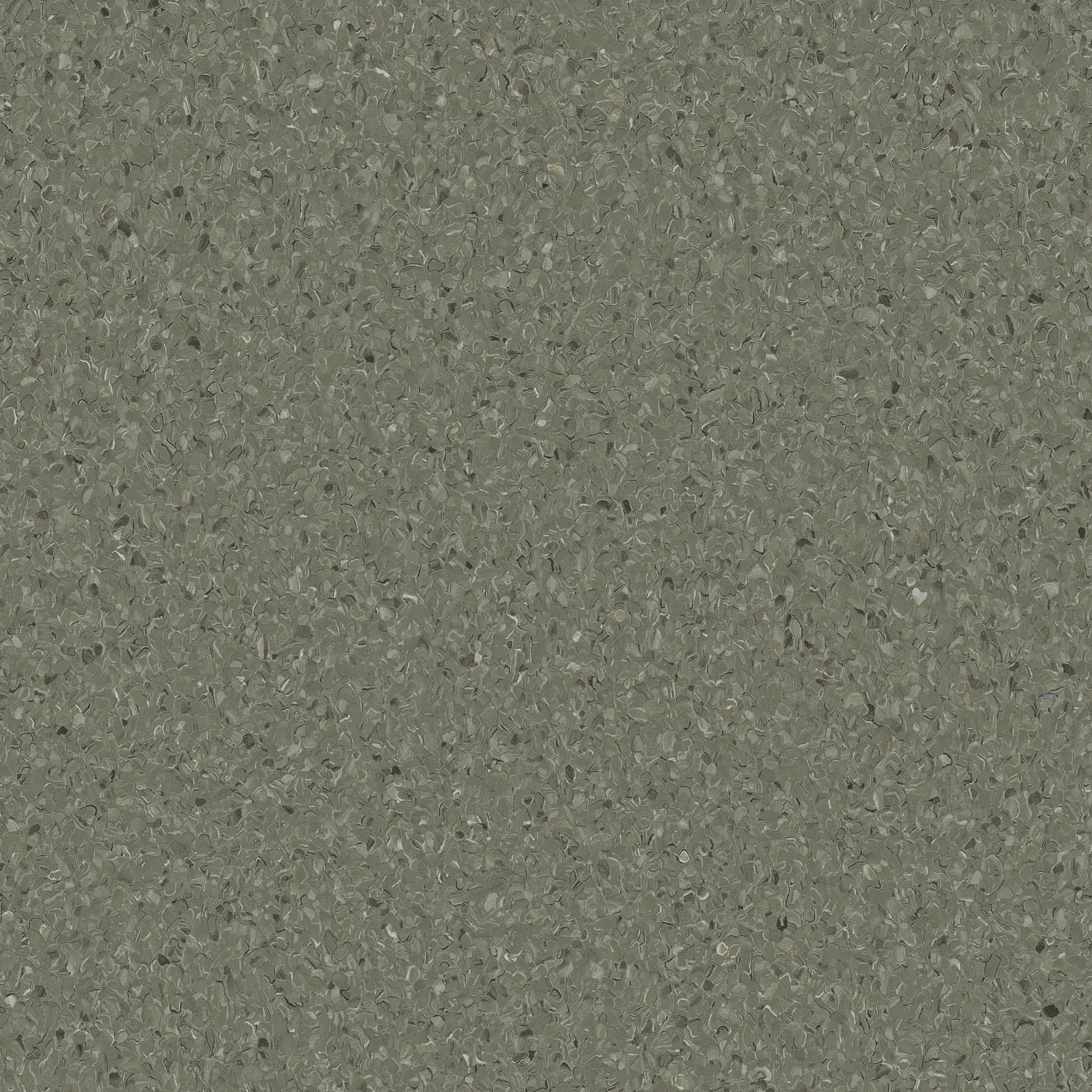Accolade Plus® Vinyl Sheet Flooring-R10