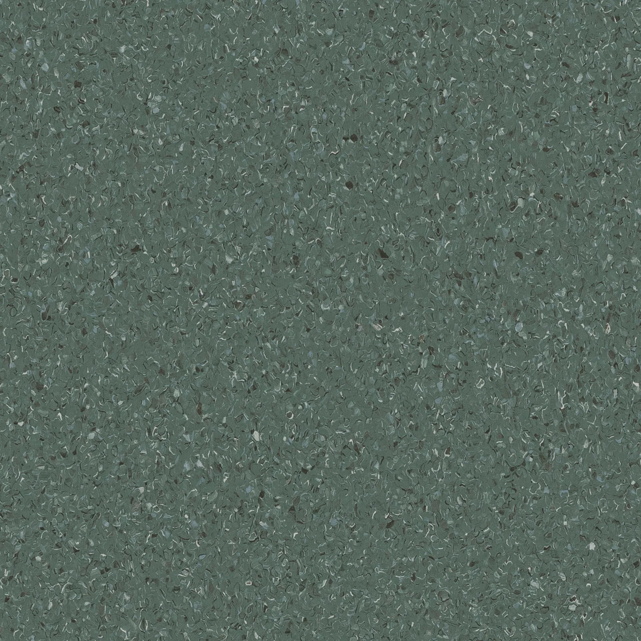 Accolade Plus® Vinyl Sheet Flooring-R10