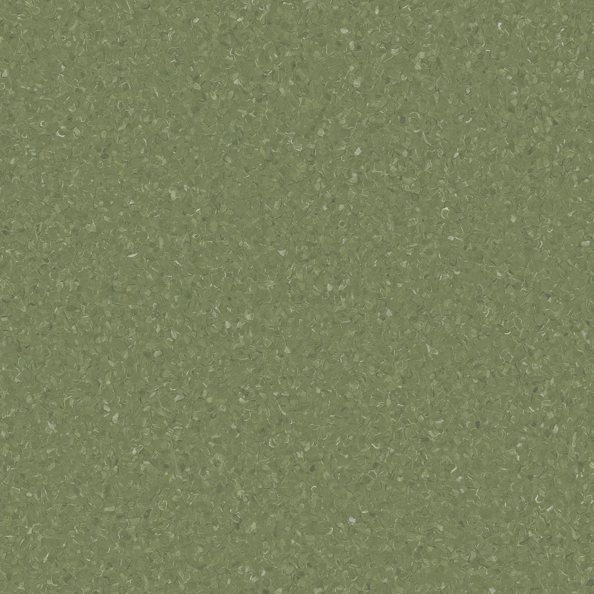 Accolade Plus® Vinyl Sheet Flooring-R10