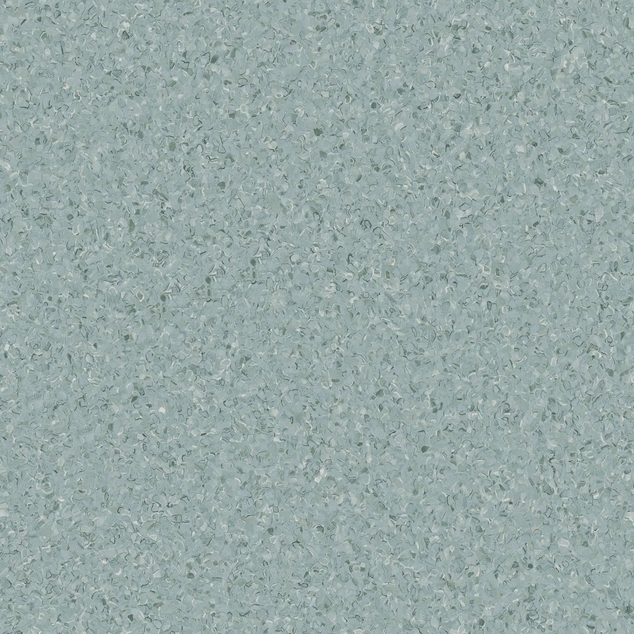 Accolade Plus® Vinyl Sheet Flooring-R10