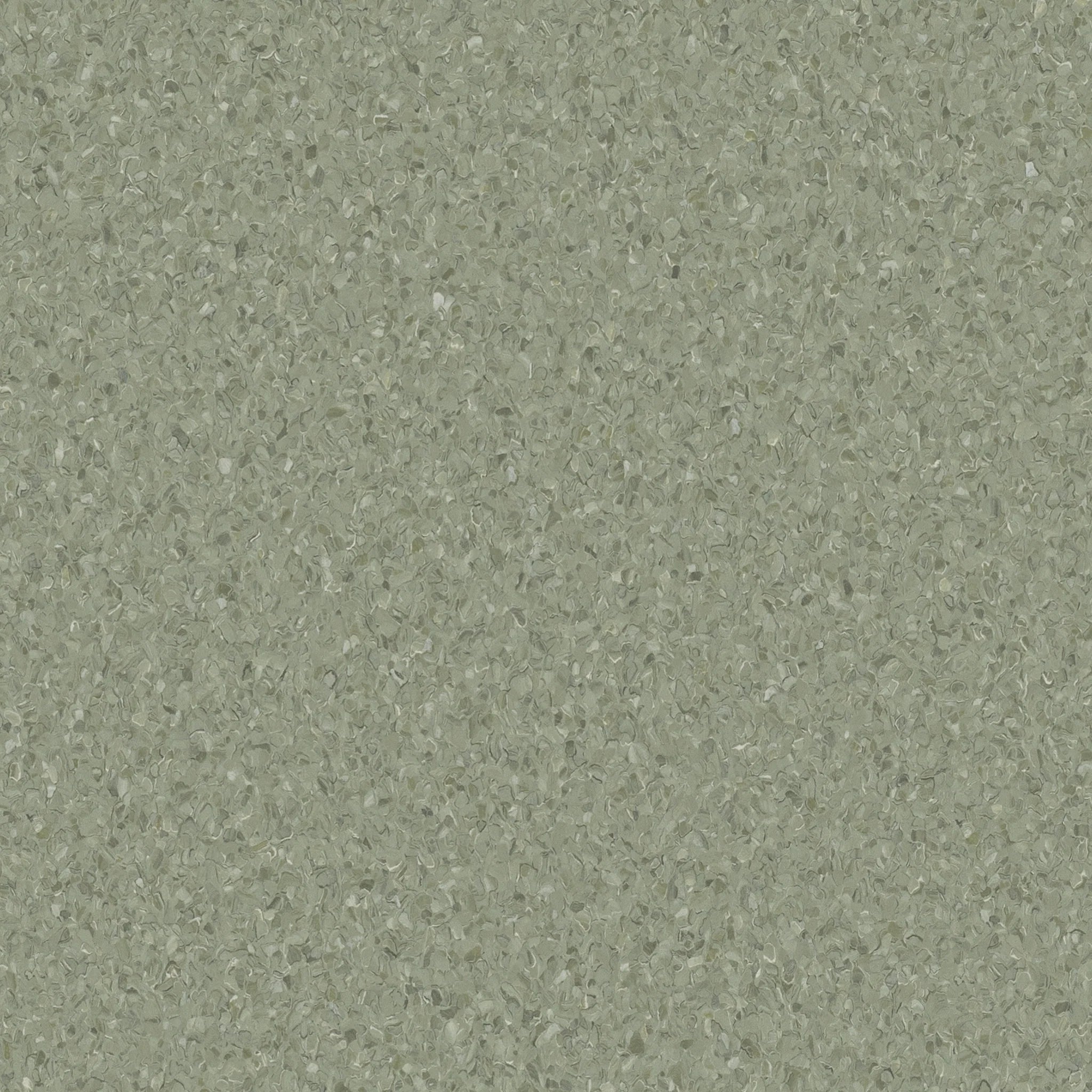 Accolade Plus® Vinyl Sheet Flooring-R10