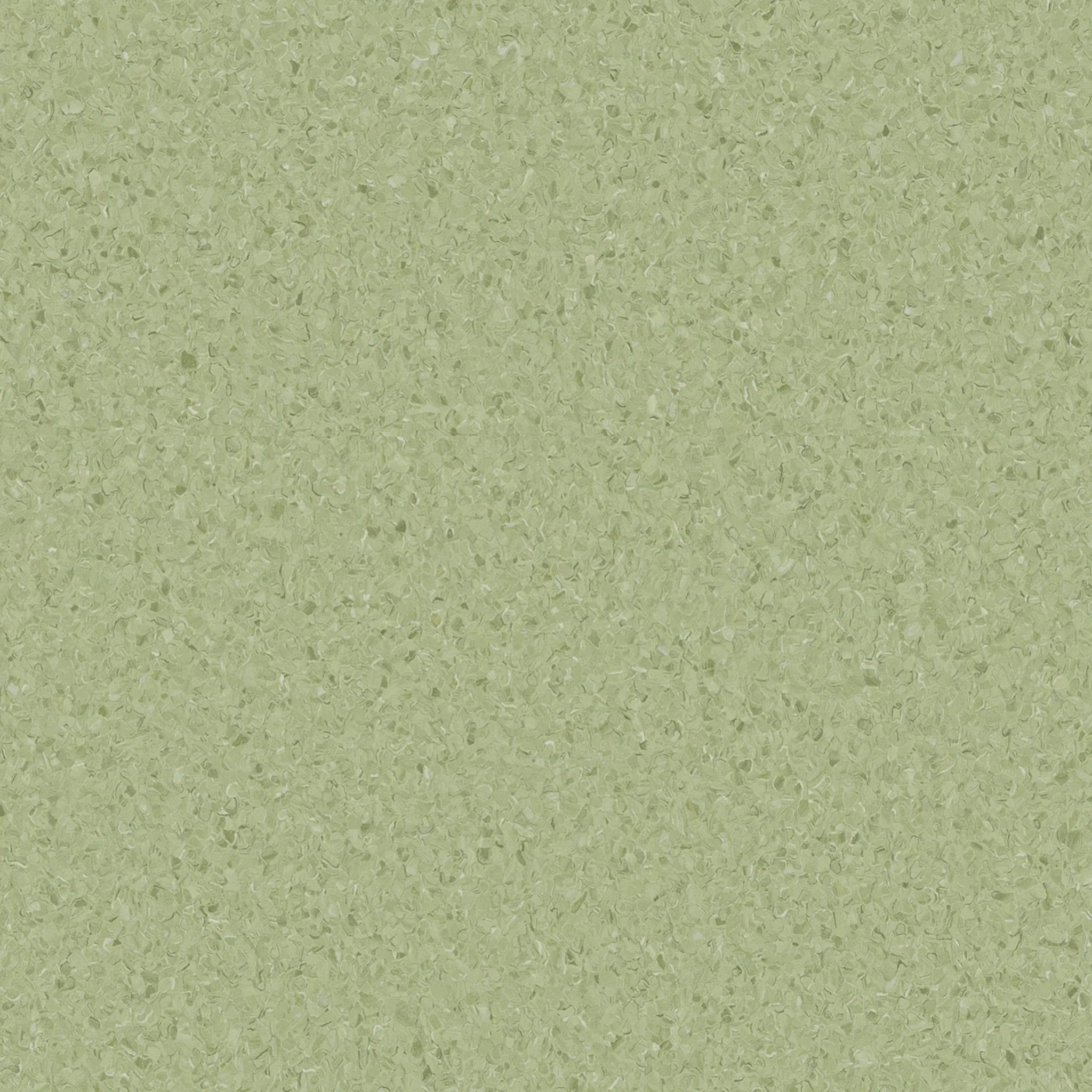 Accolade Plus® Vinyl Sheet Flooring-R10