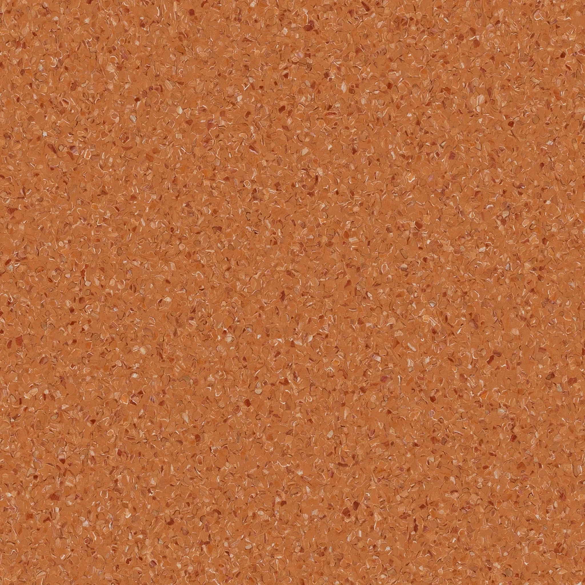 Accolade Plus® Vinyl Sheet Flooring-R10