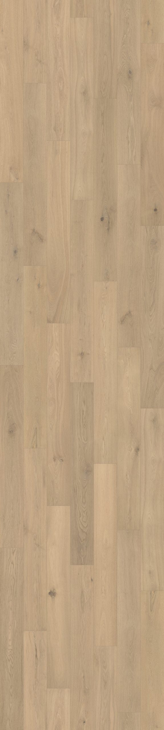 AquaFlex Laminate Flooring 12mm