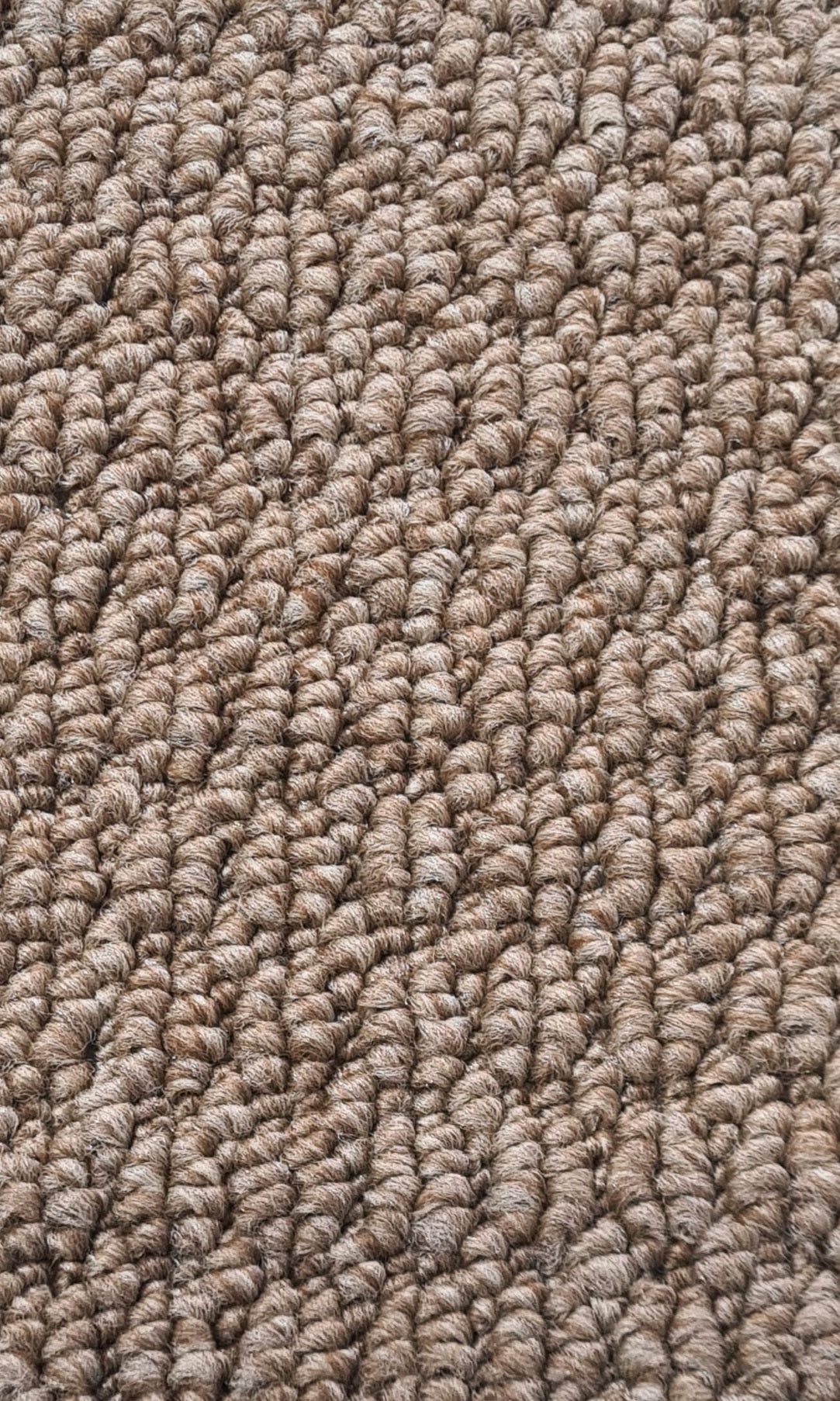 Berber Heights Carpet Flooring