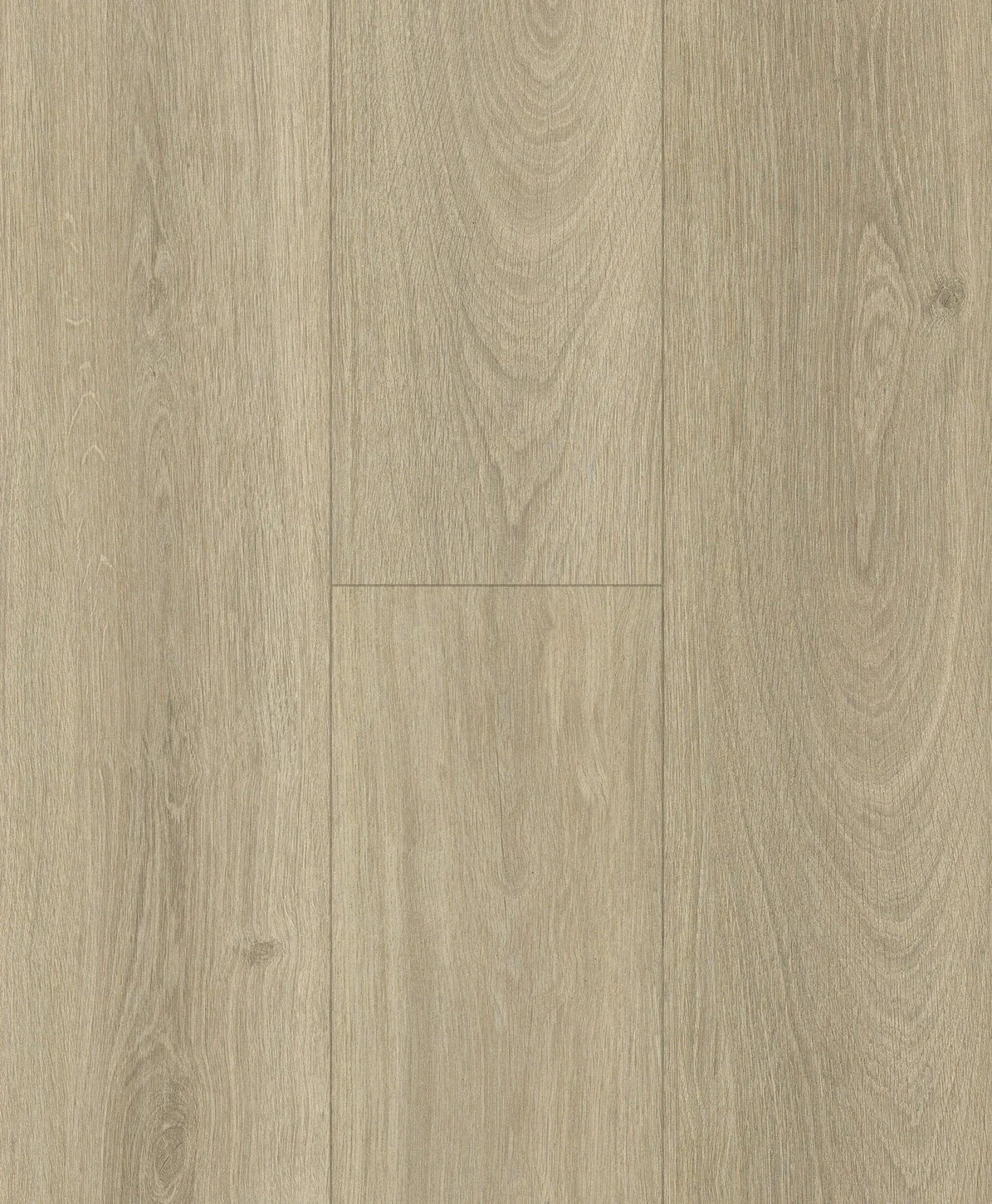 CAS Laminates Flooring 12mm