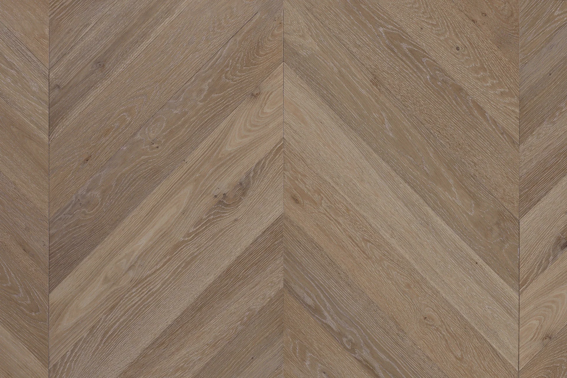 Cavallo Bianco Chevron 14/3mm - Top Deck