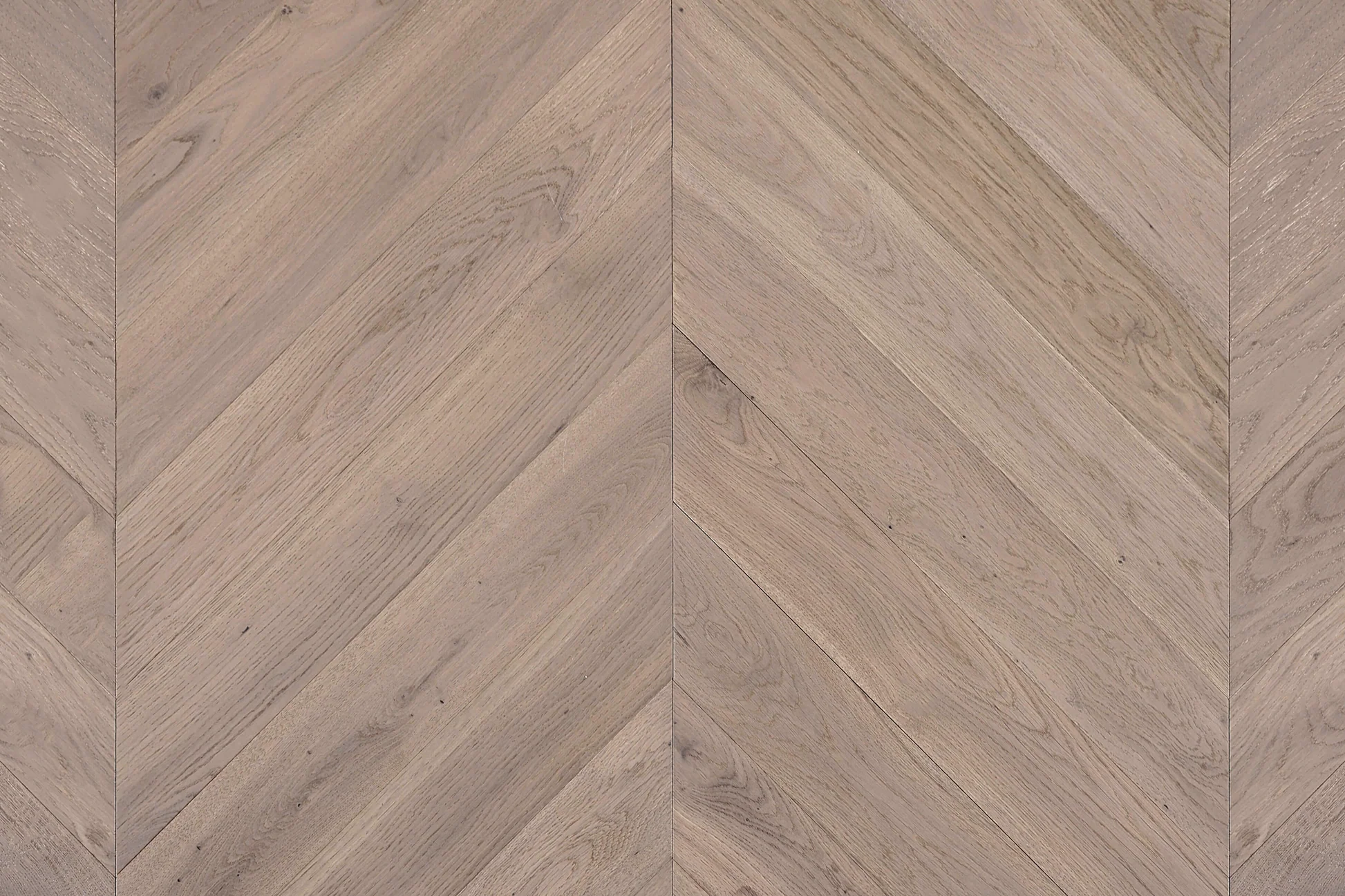 Cavallo Bianco Chevron 14/3mm - Top Deck
