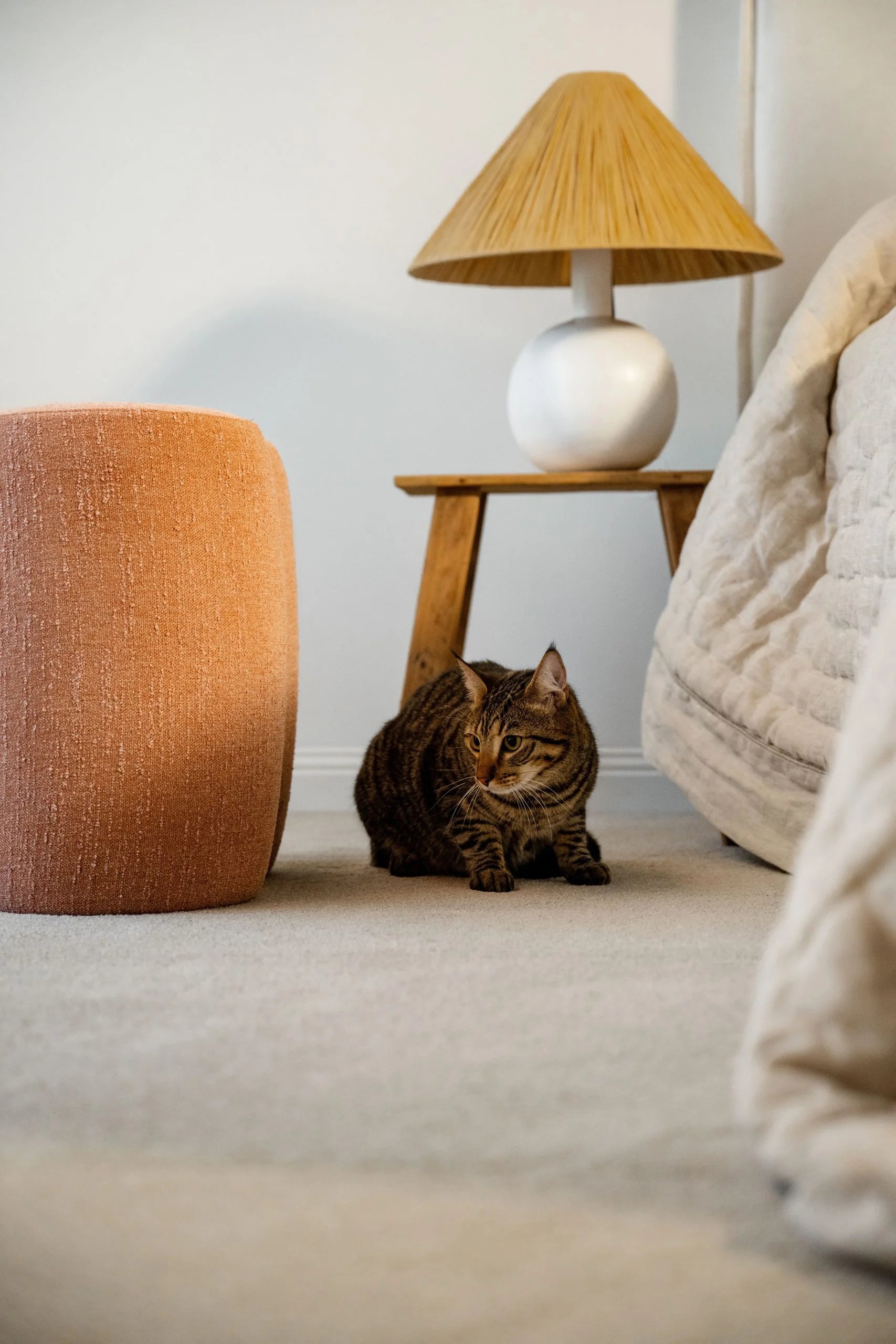 Coco-Bliss-Carpet-1 Coco-Bliss-Carpet-1