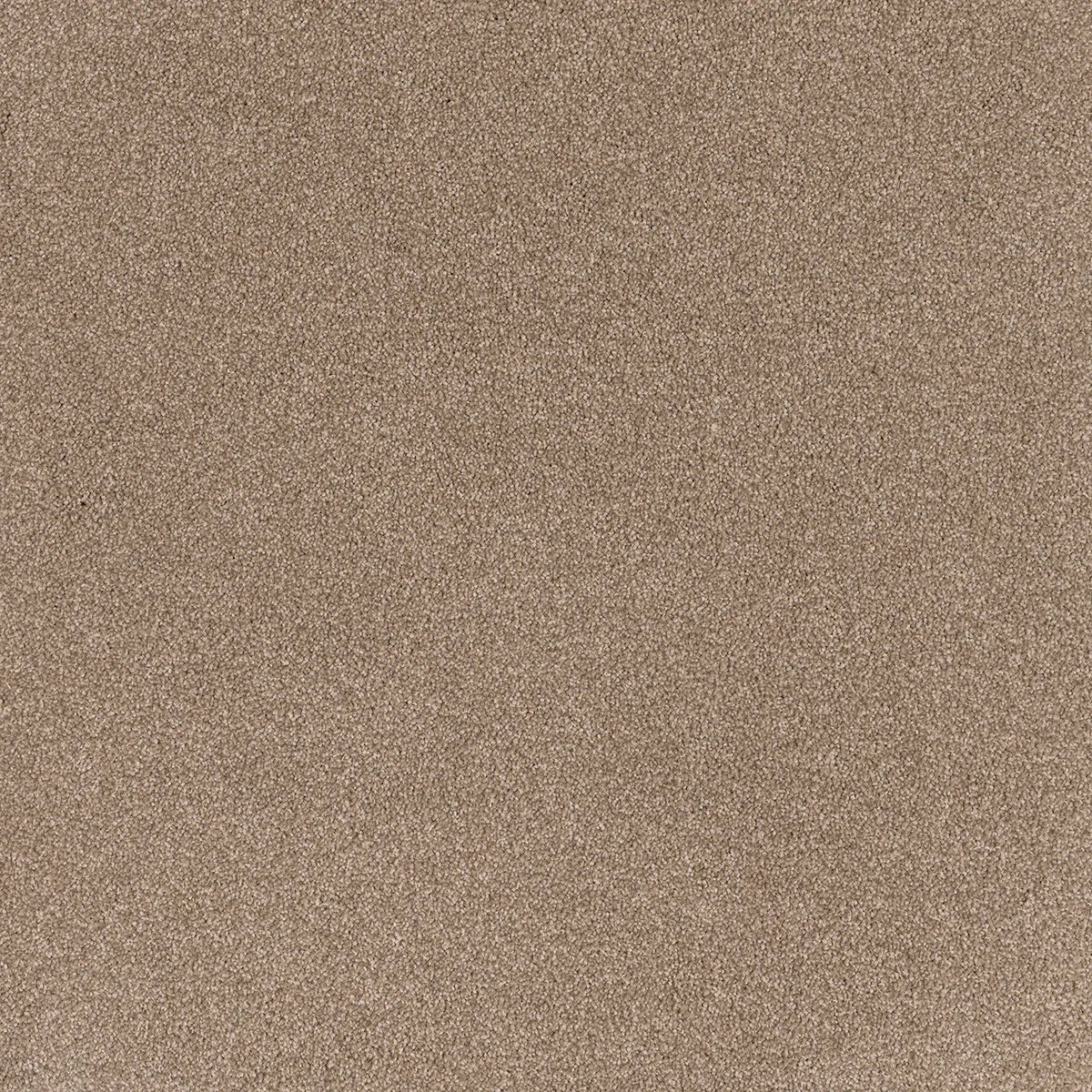 Coco Bliss Carpet Flooring