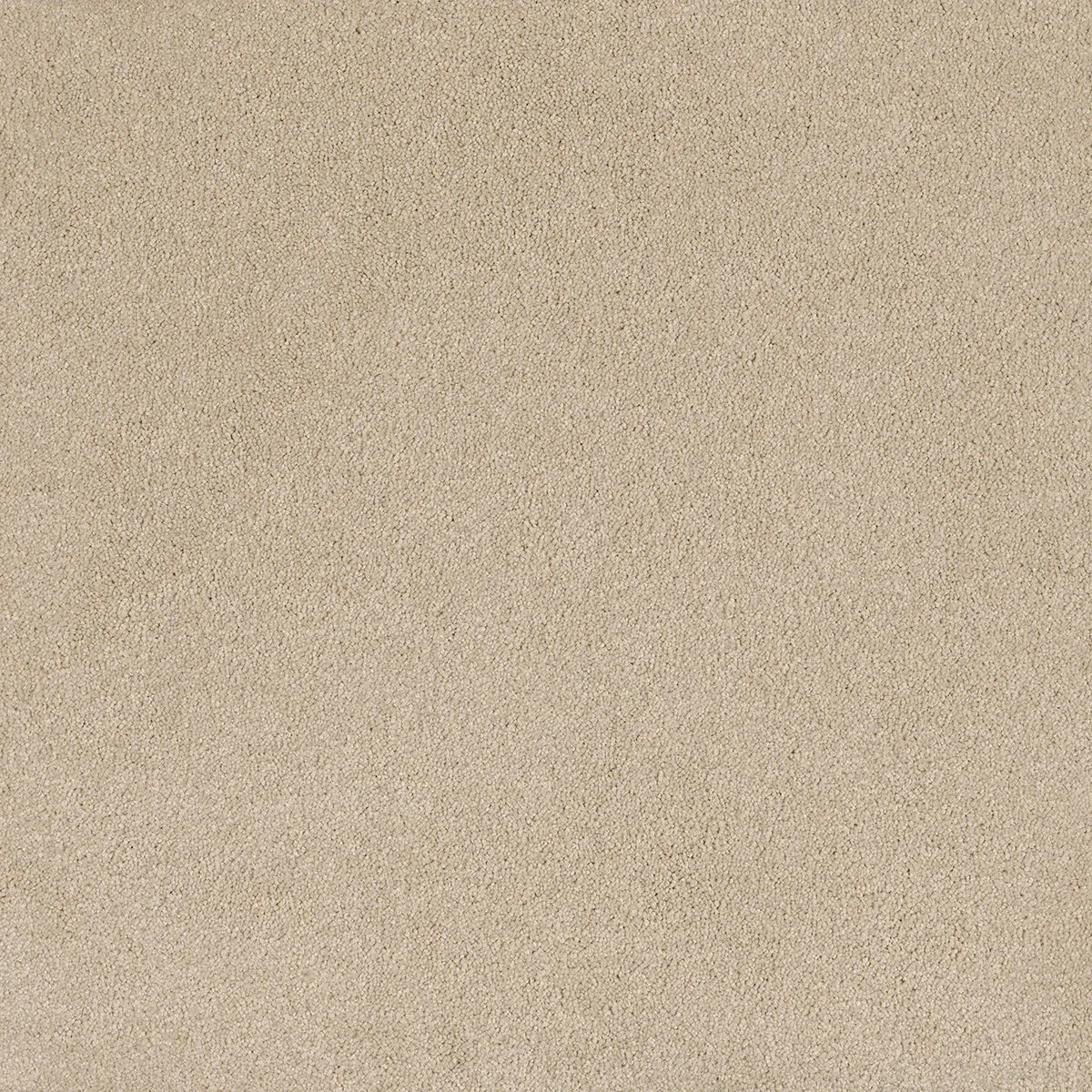 Coco Bliss Carpet Flooring
