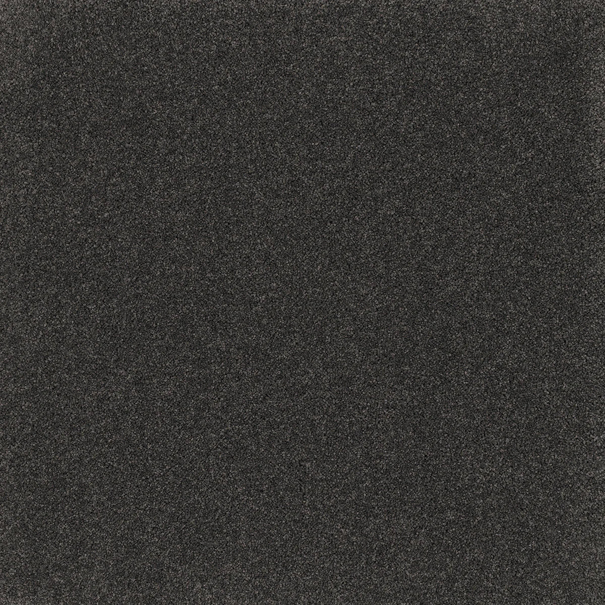 Coco Bliss Carpet Flooring