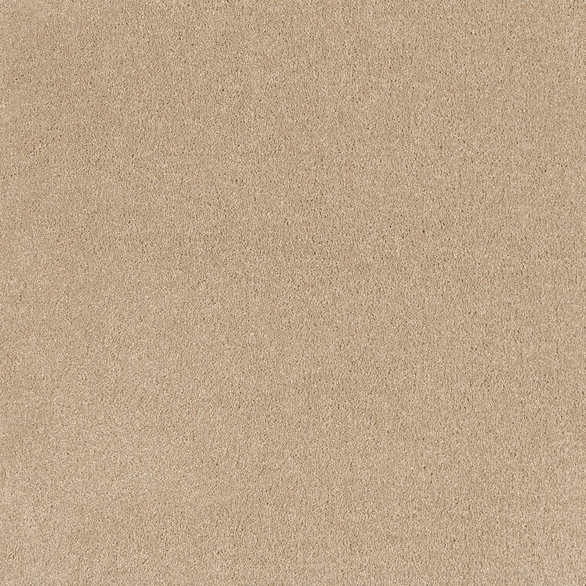 Coco Bliss Carpet Flooring