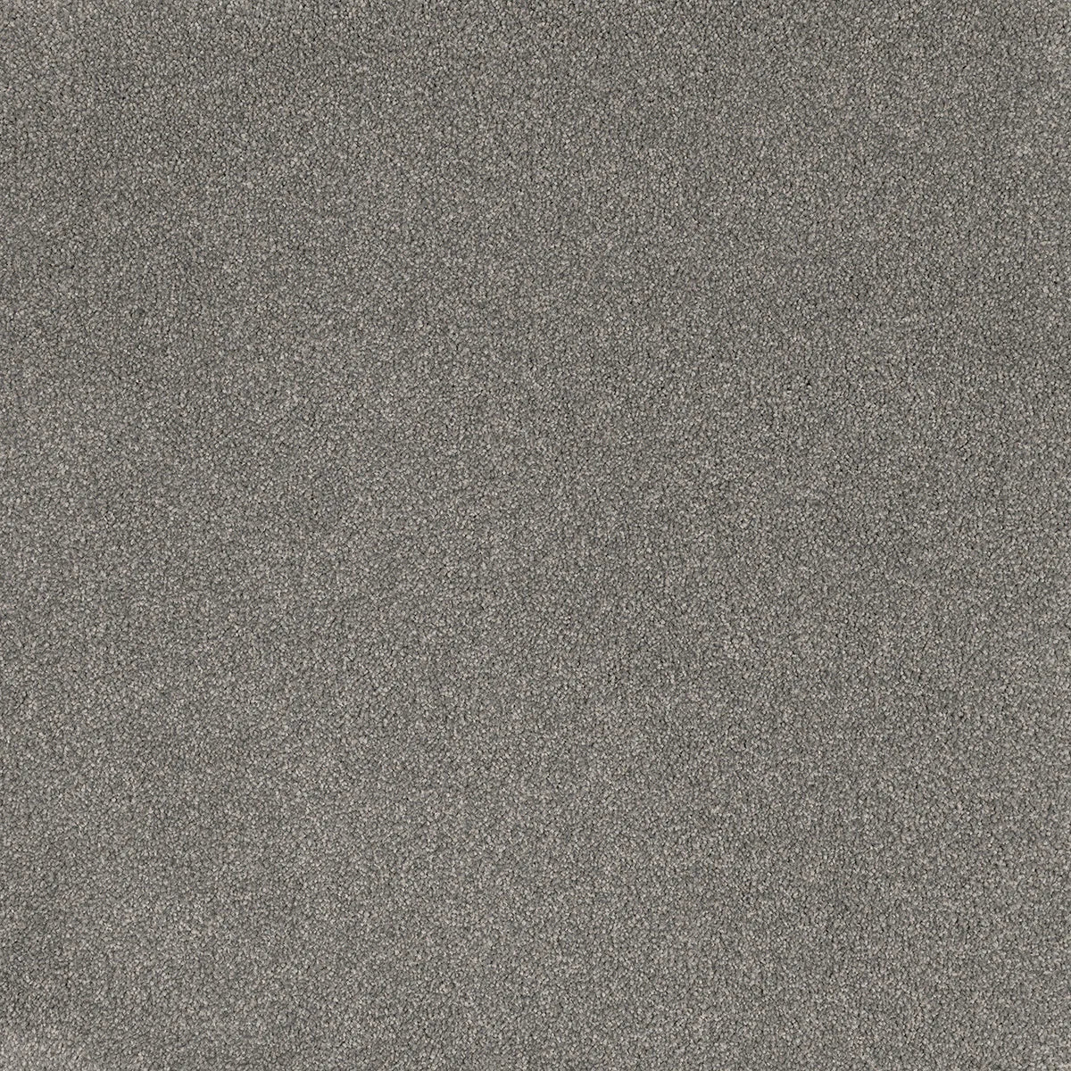 Coco Bliss Carpet Flooring