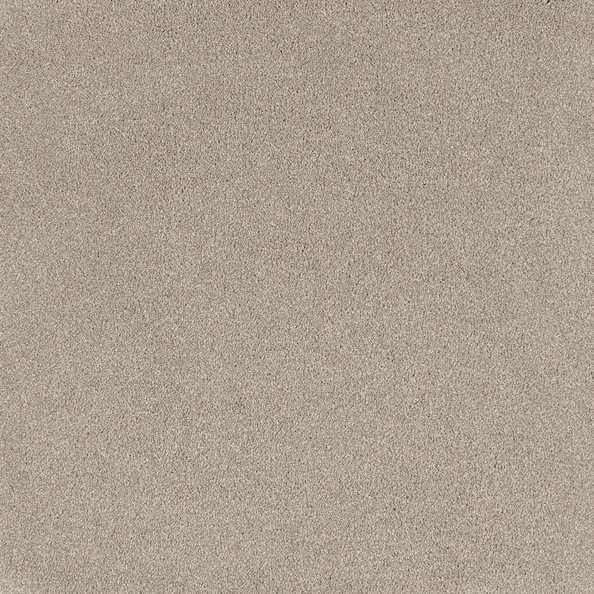 Comfort Touch Carpet Flooring