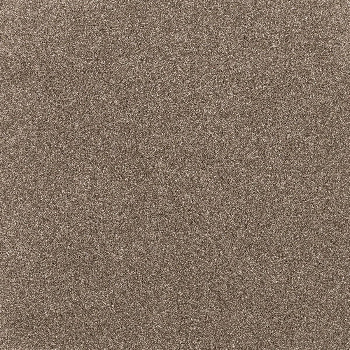 Comfort Touch Carpet Flooring