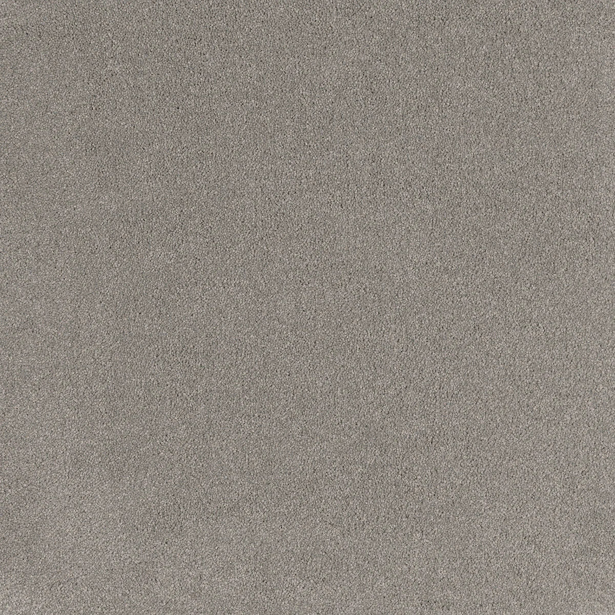 Comfort Touch Carpet Flooring