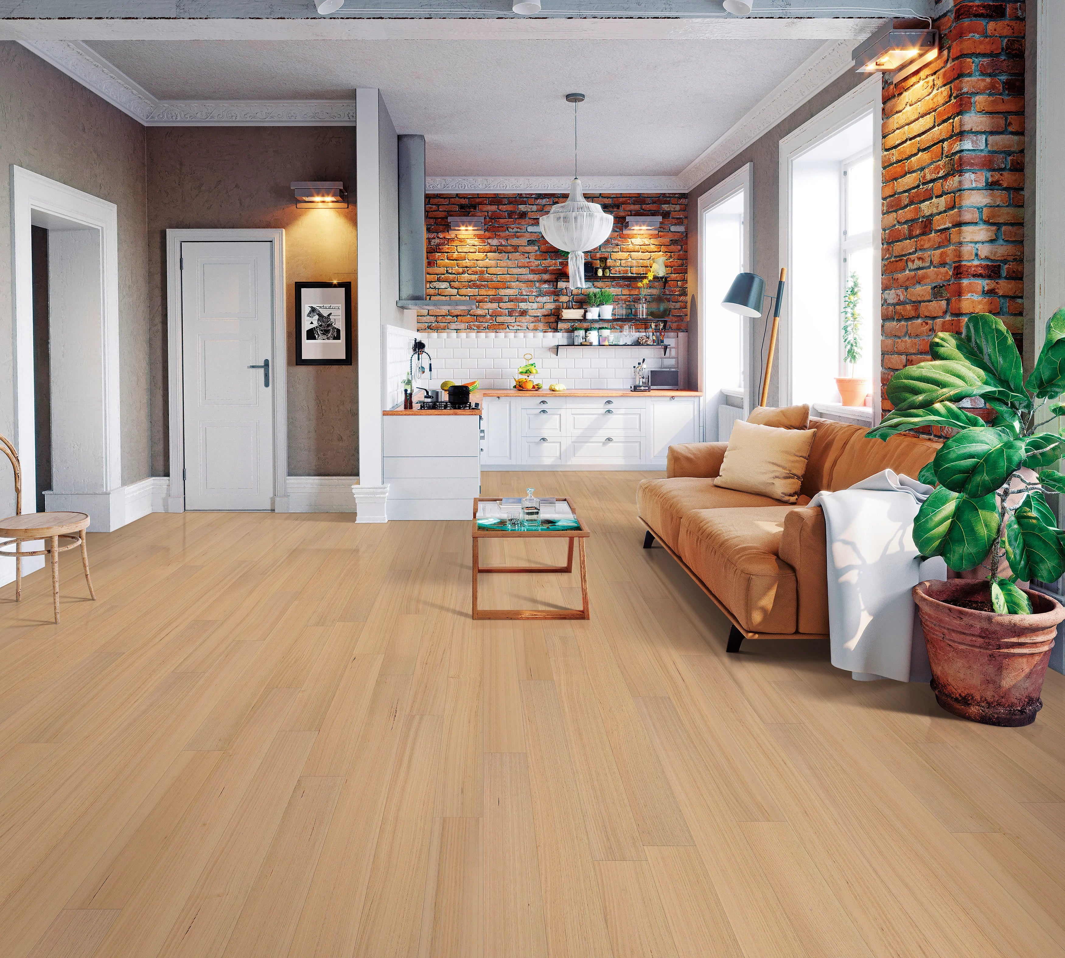 Daintree-Colour-Tasmaina-Oak-1 Daintree-Colour-Tasmaina-Oak-1