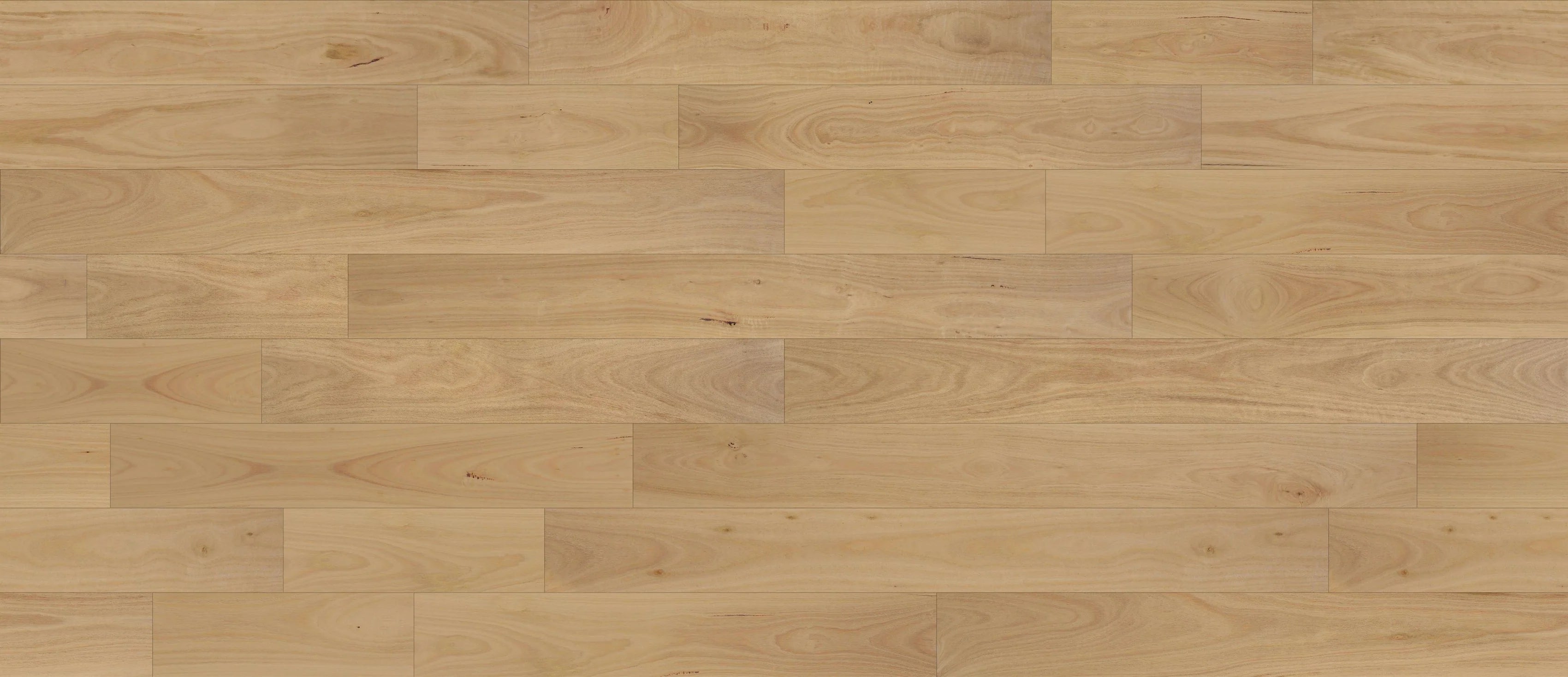 Daintree XL Engineered Timber Flooring