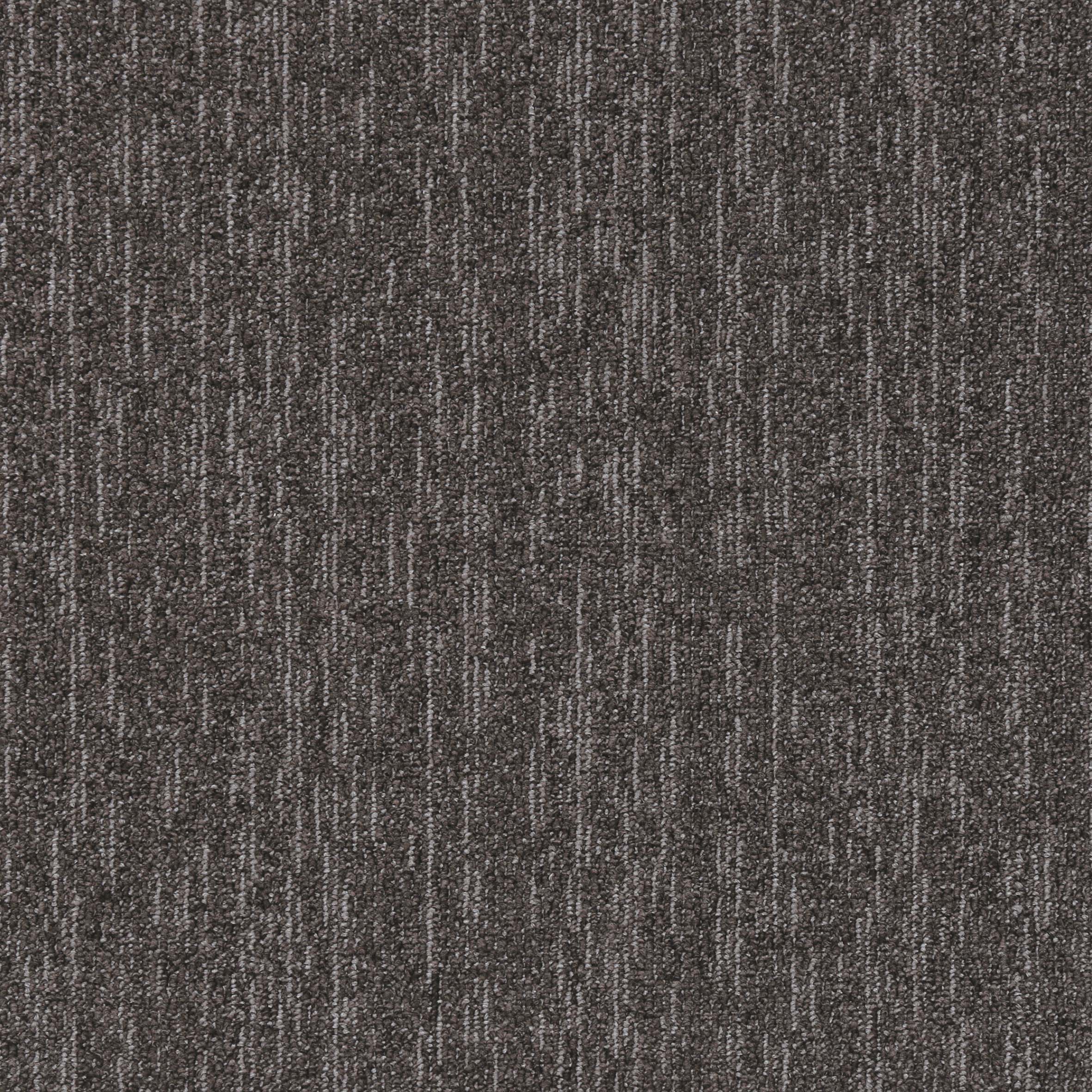 Evolve Carpet Tiles Flooring