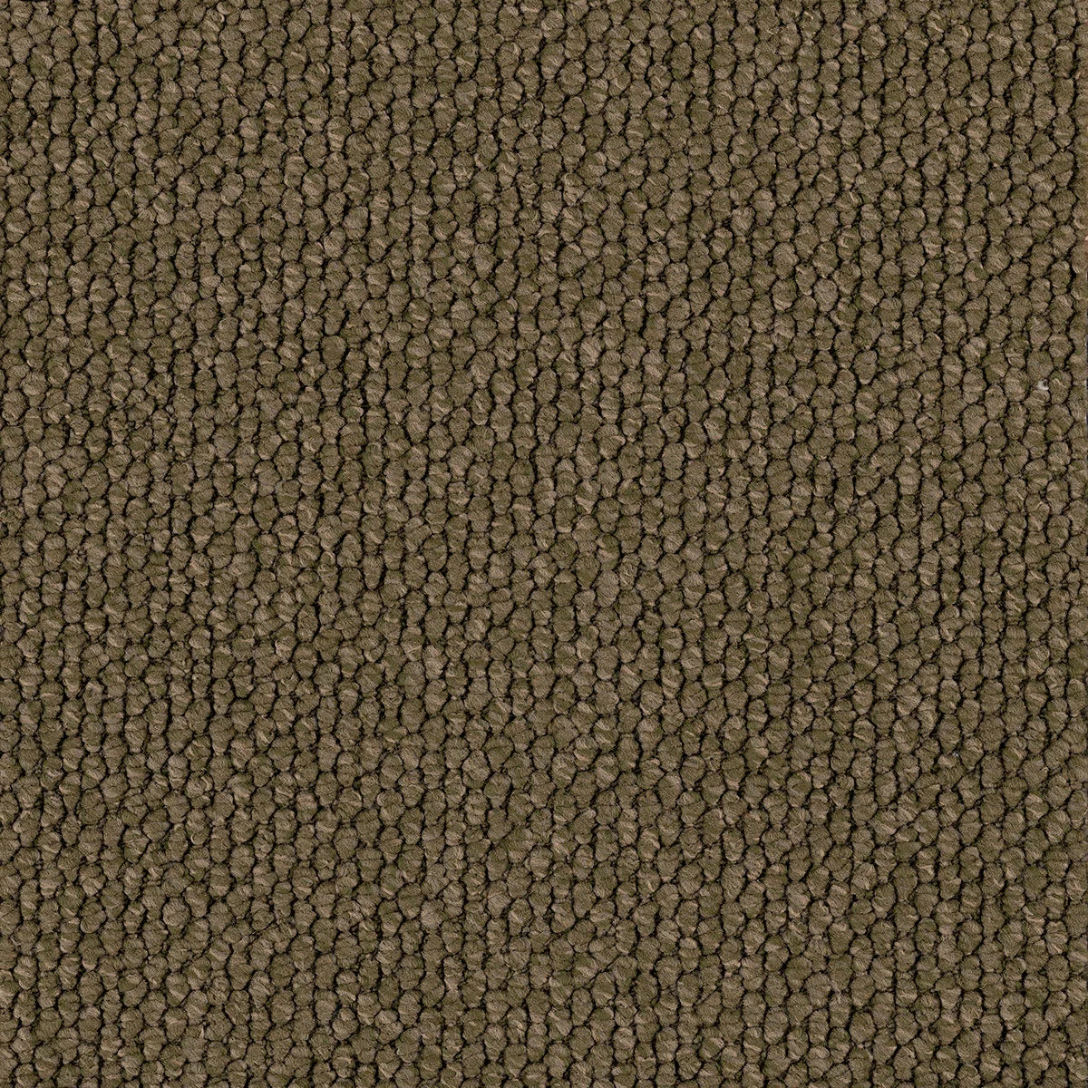 Flinders Gorge Carpet Flooring