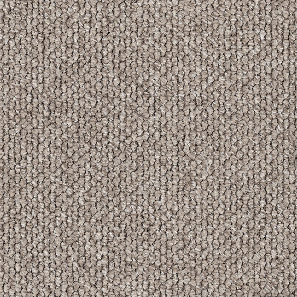 Flinders Gorge Carpet Flooring