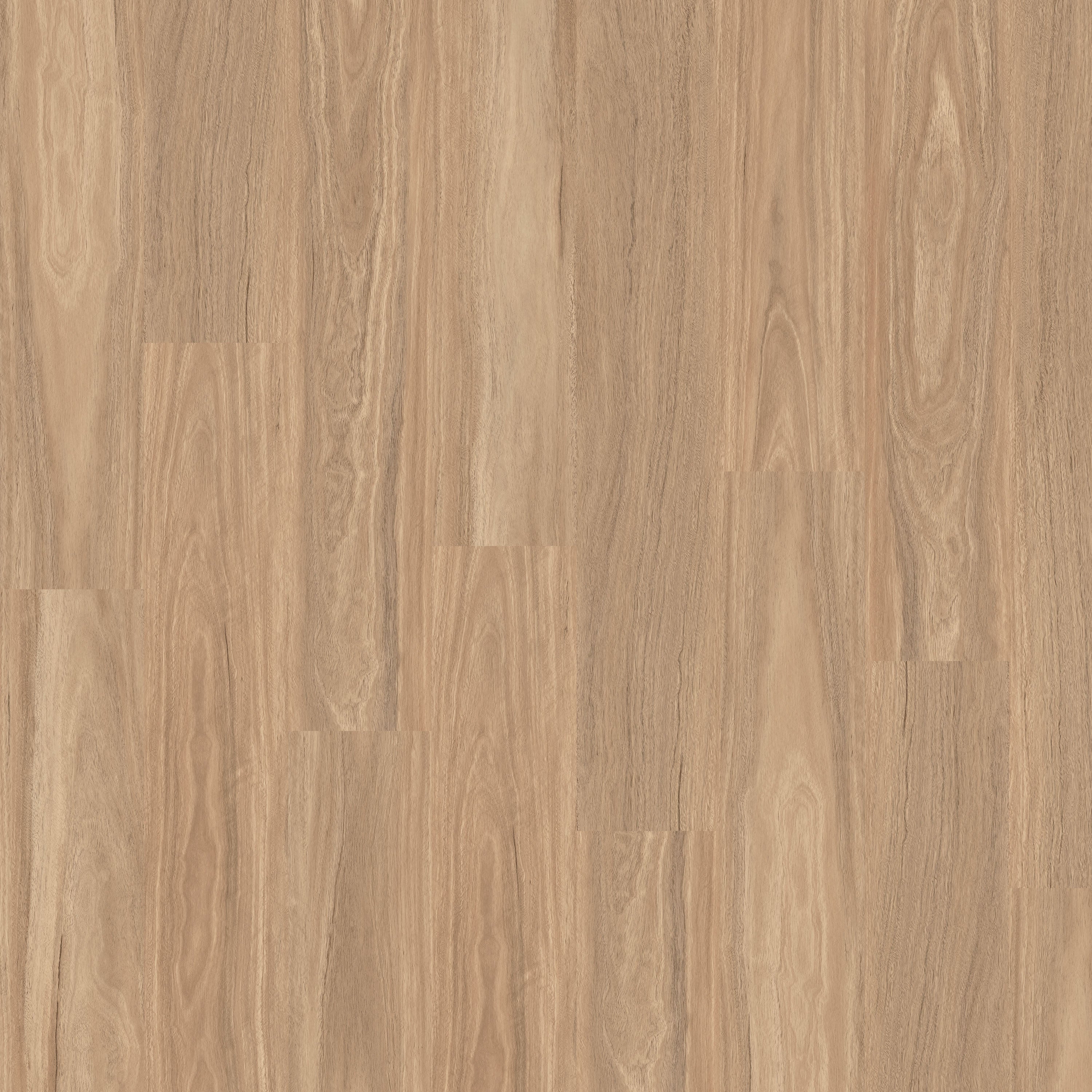 Forest Vinyl Plank Flooring 4.5mm