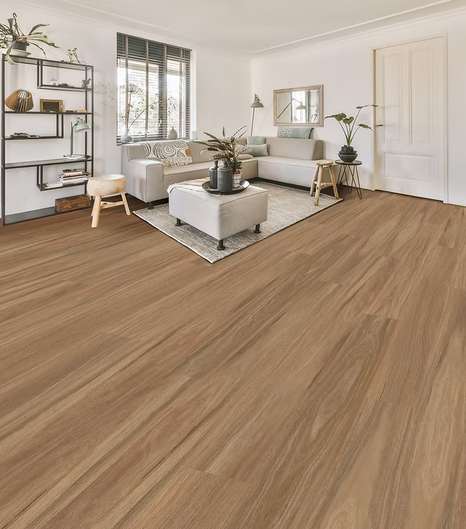 Forest-4.5mm-Colour-Spotted_Gum Forest-4.5mm-Colour-Spotted_Gum