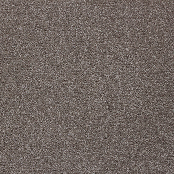 Mink – Cashmere Touch carpet Flooring