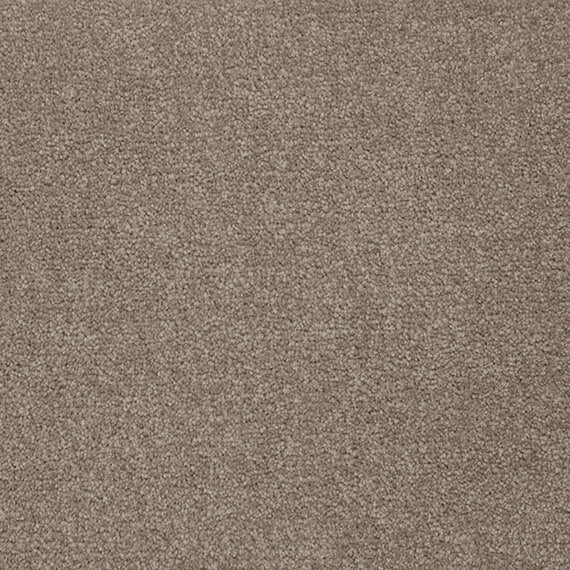 Mink – Cashmere Touch carpet Flooring