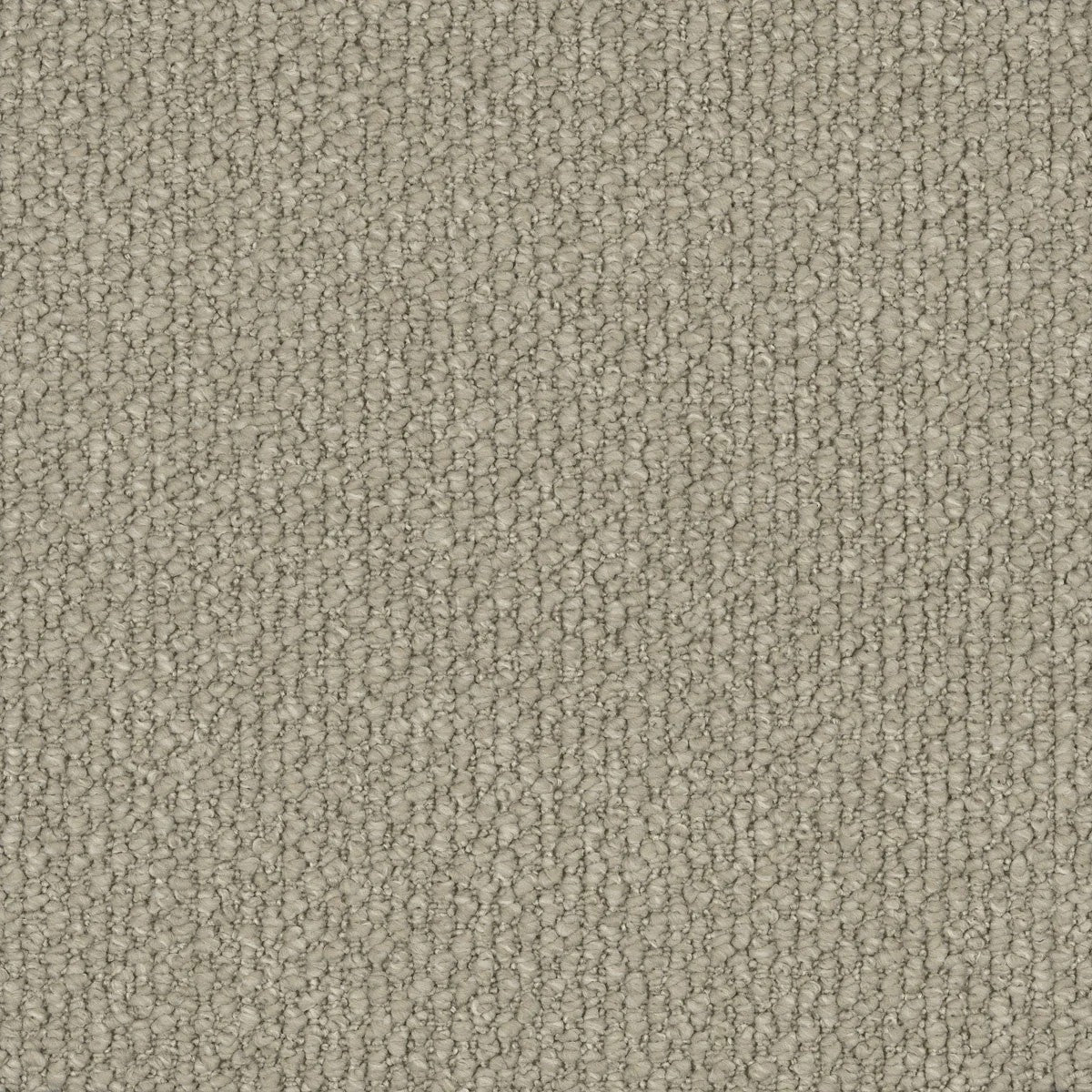 Montrosa Carpet