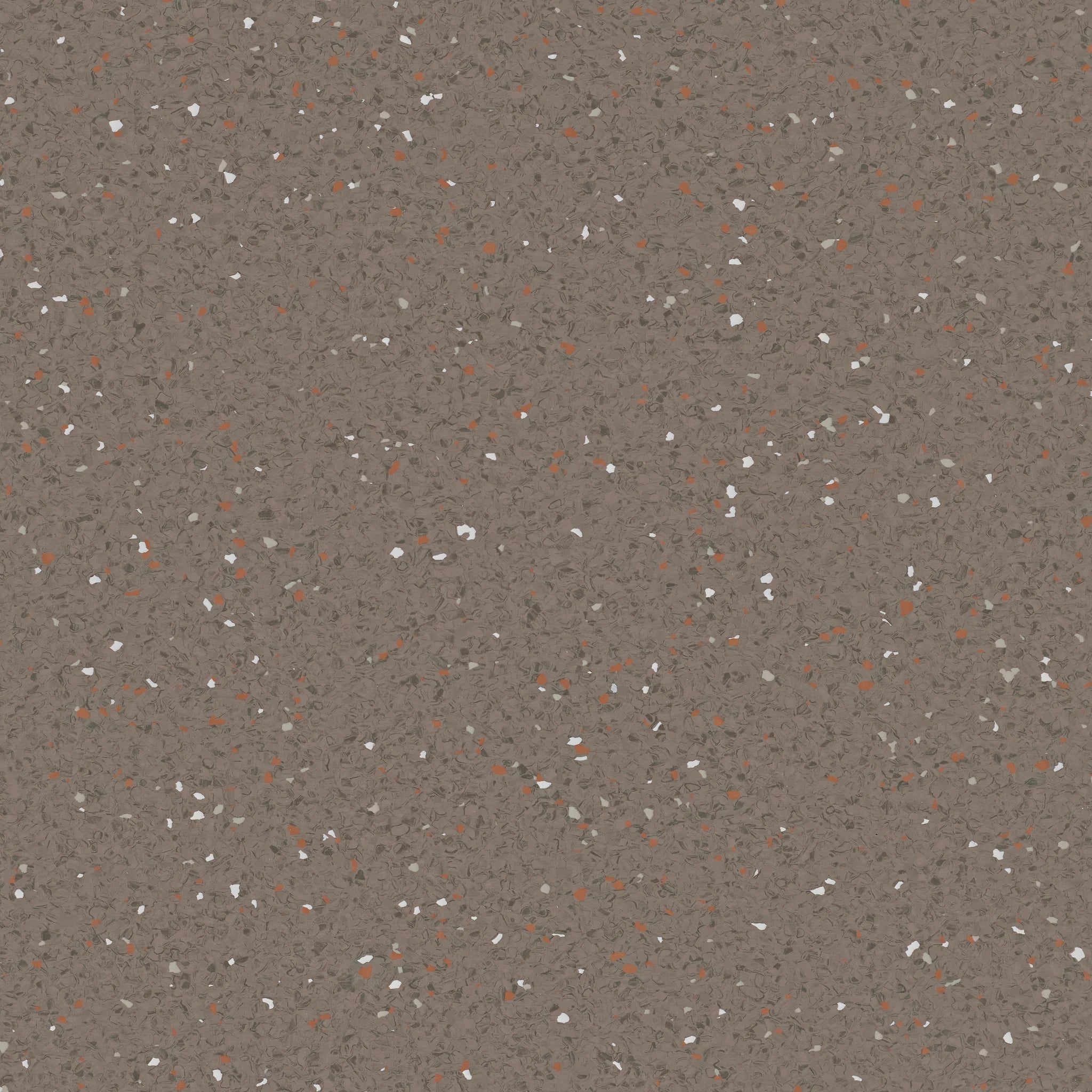 Natralis® Foothold Vinyl Sheet Flooring-R10