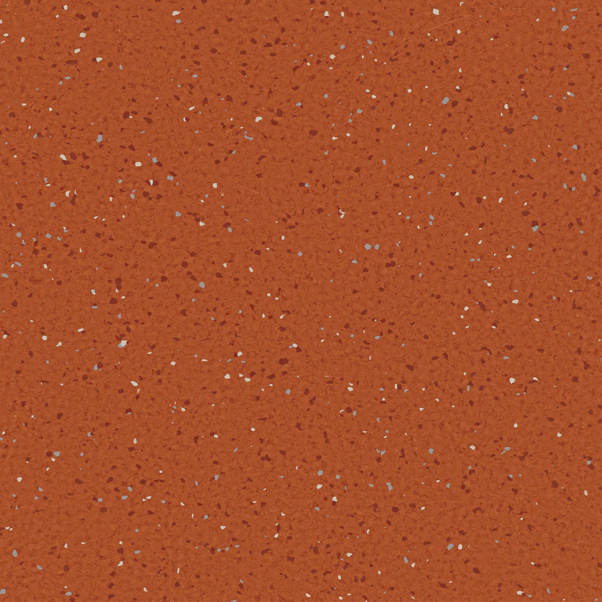 Natralis® Foothold Vinyl Sheet Flooring-R10