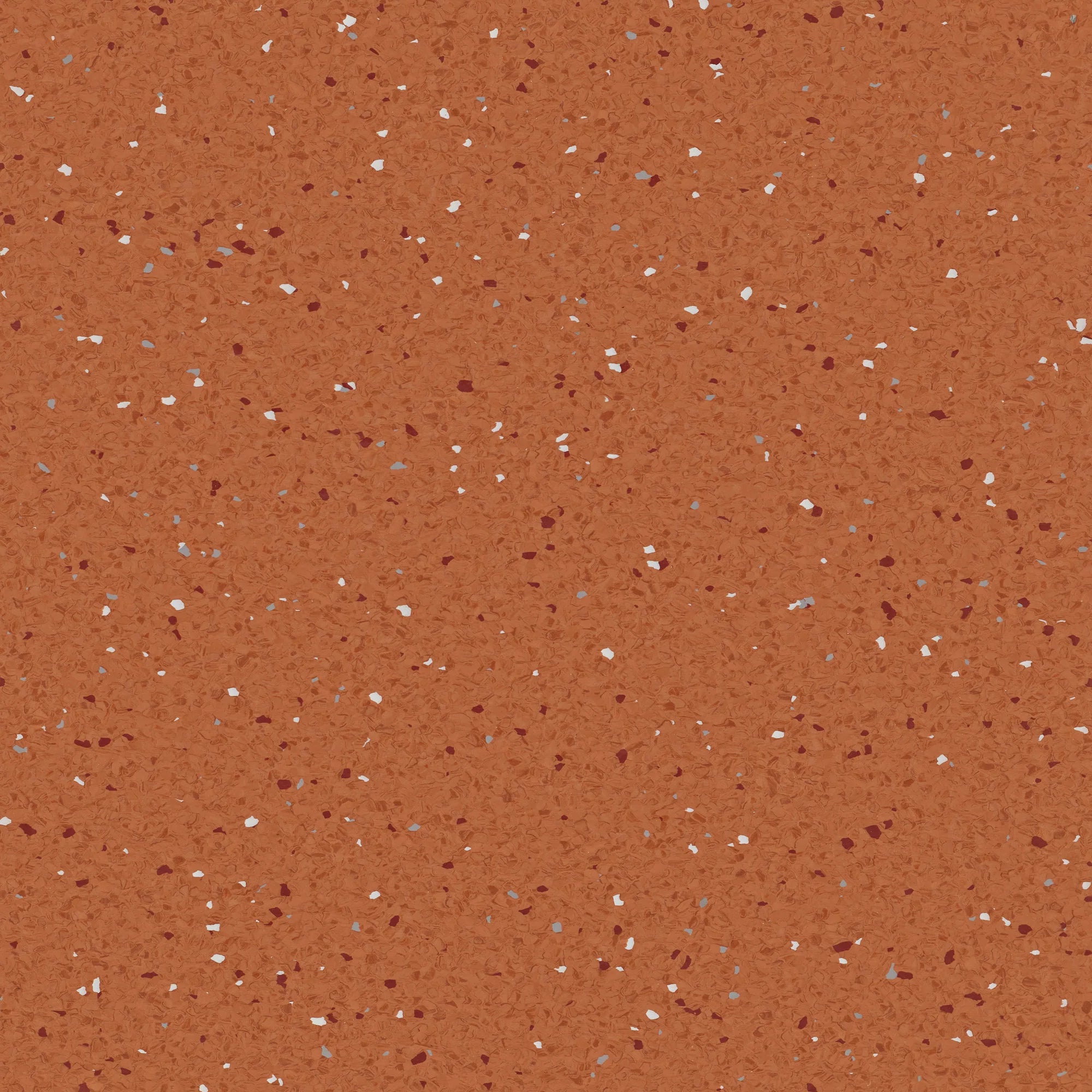 Natralis® Foothold Vinyl Sheet Flooring-R10