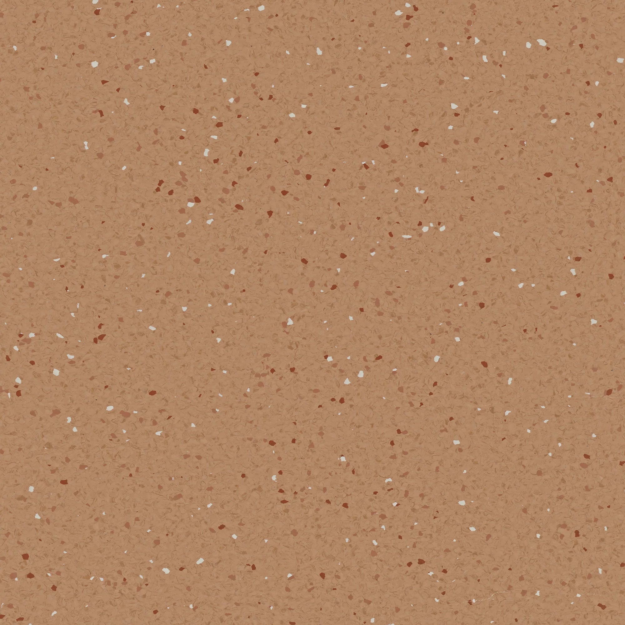 Natralis® Foothold Vinyl Sheet Flooring-R10