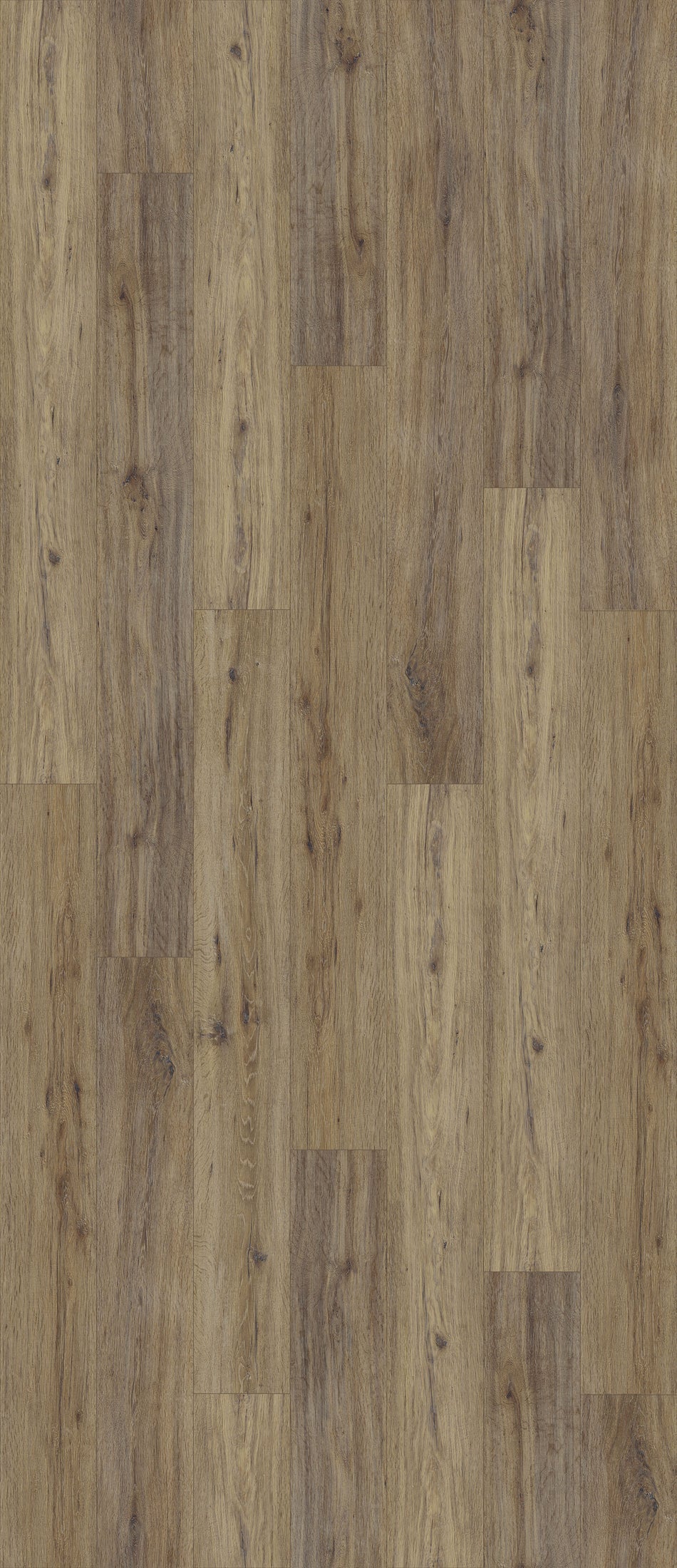Natural Creations ArborArt-2.5mm - Luxury Vinyl Plank Flooring