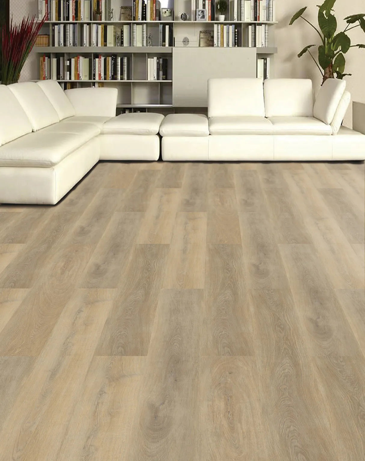 Ornato-Hybrid-8mm-Colour-Oak-Sofia-Room-1 Ornato-Hybrid-8mm-Colour-Oak-Sofia-Room-1