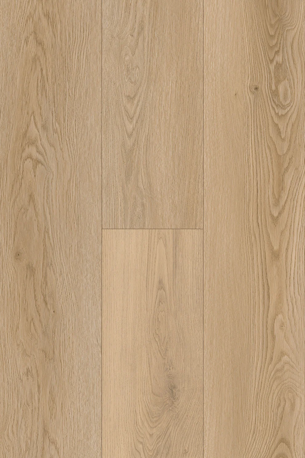 Amor Laminate Flooring 12mm