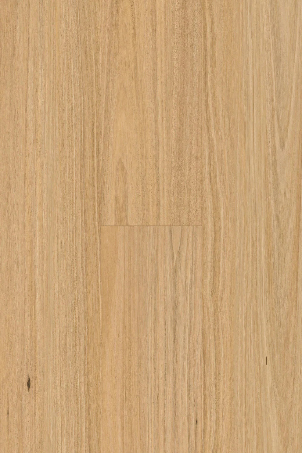 Amor Laminate Flooring 12mm