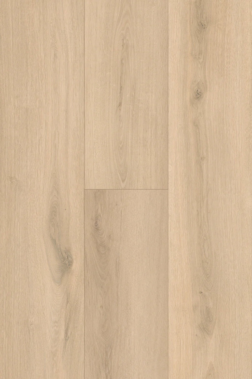 Amor Laminate Flooring 12mm